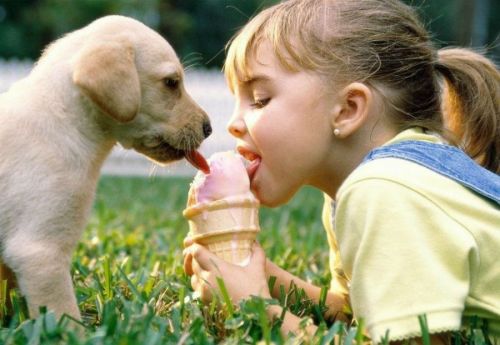 Ребенок и собака едят мороженное