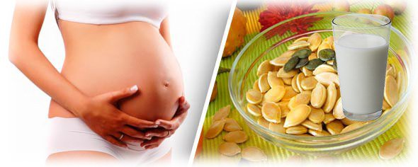 семя тыквы при беременности
