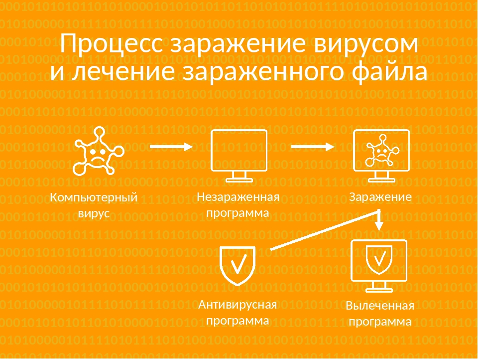 Схема заражения вирусом