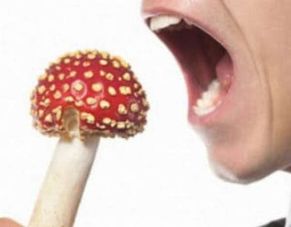 Как определить отравление грибами и что делать