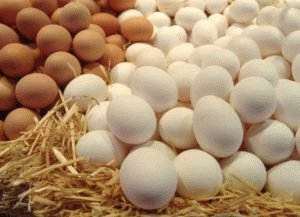 Яйцо – кладезь витаминов