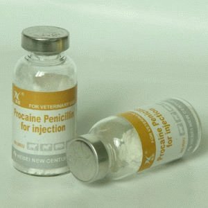 Препарат пенициллин