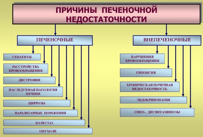 Белый язык у взрослого. Причины и лечение народными средствами. Симптомы, признаки