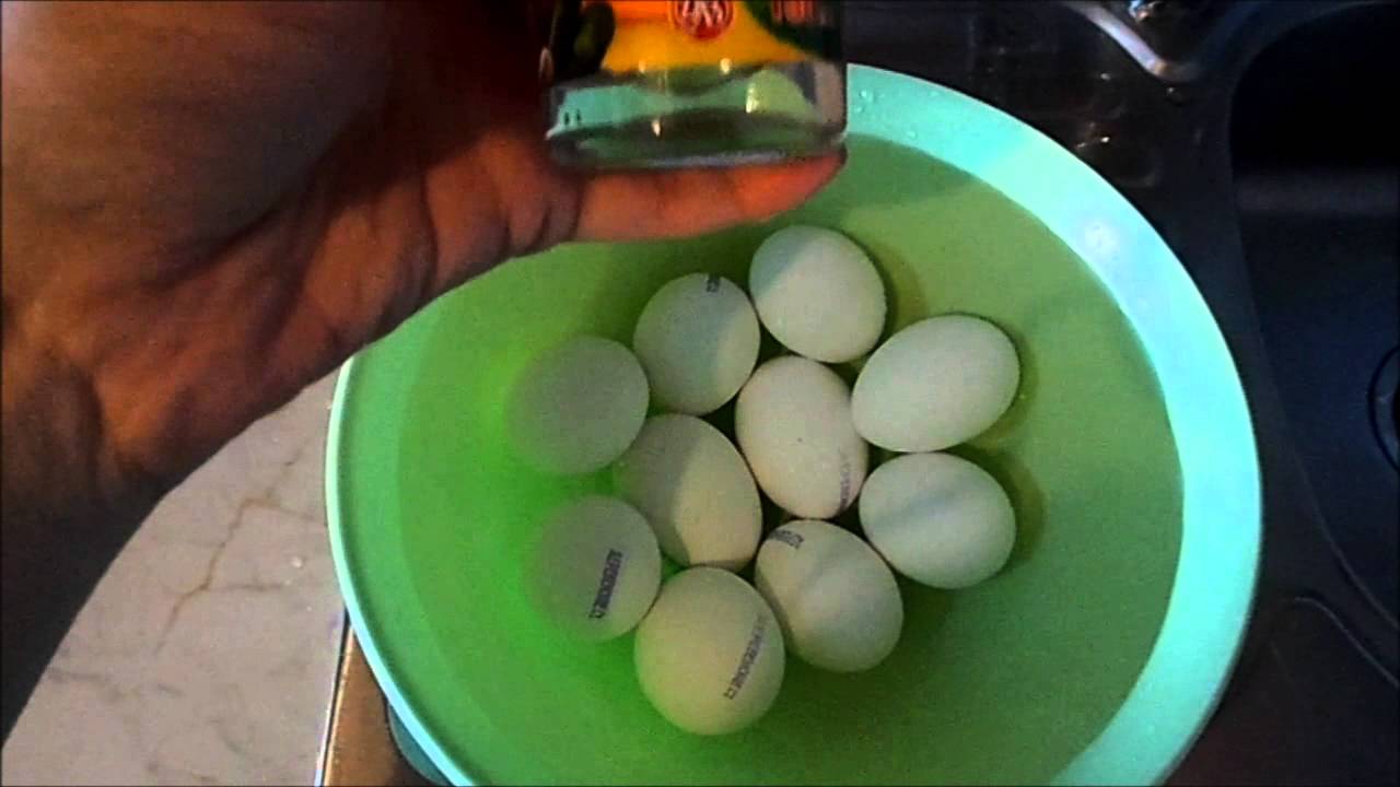 Перепелиные сальмонеллез. Сальмонеллез яйца куриные. Сальмонелла в курином яйце. Как выглядит сальмонеллез в яйце.