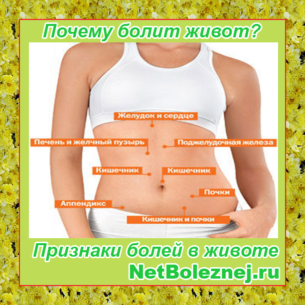 Карта болей живота