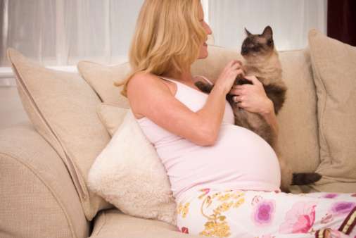 беременная с котом