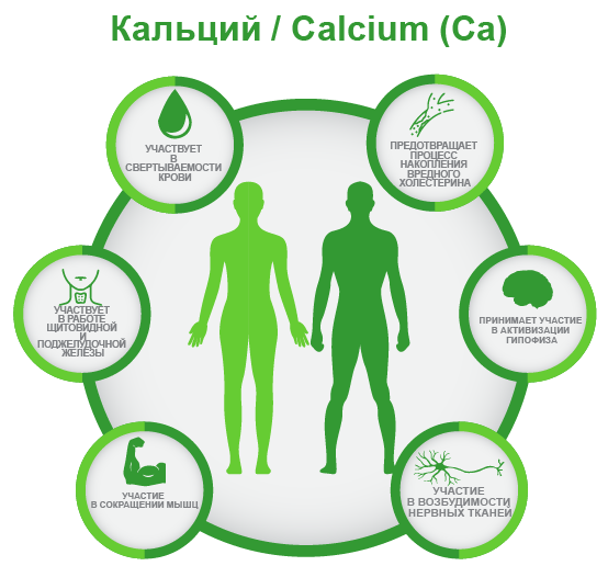 Кальций Calcium (Ca)
