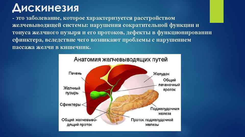 Дискинезия - анатомия и определение 