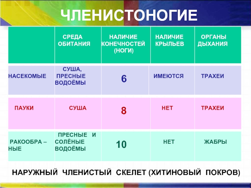 Среда обитания маски для волос