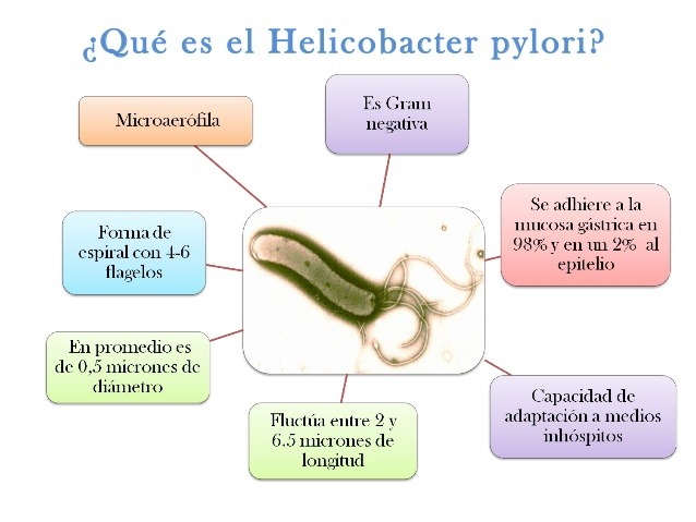 Sintomas de tener helicobacter pylori