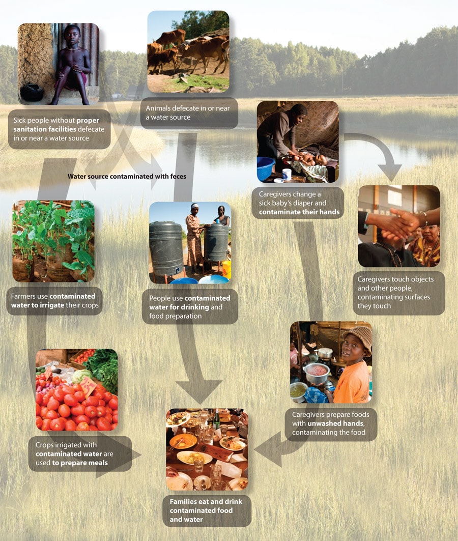 Pathways to Diarrhea - a chart showing images of different sources for infection. Water sources are contaminated with feces, then armers irrigate their crops or people use contaminated water for drinking and food preparation, resulting in families eating and drinking contaminated food and water. Caregivers can also change a sick baby
